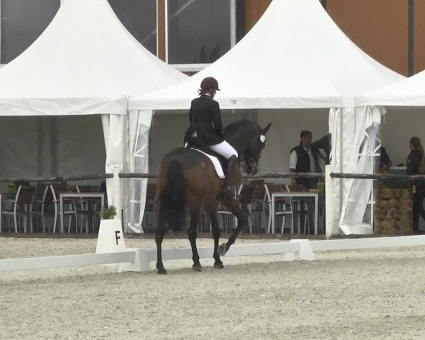 Reitturnier Illertissen 2017