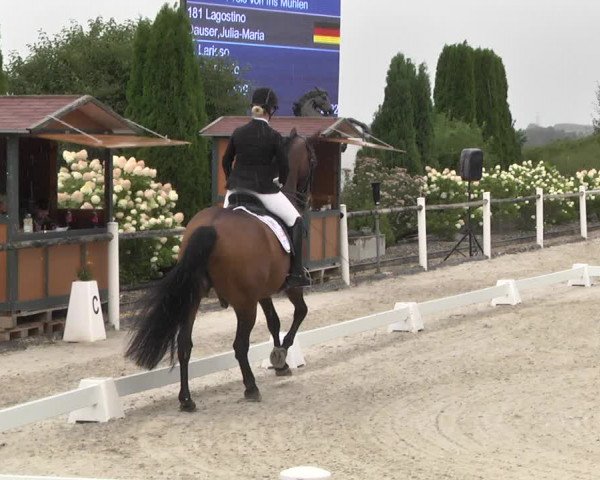 Reitturnier Illertissen 2017