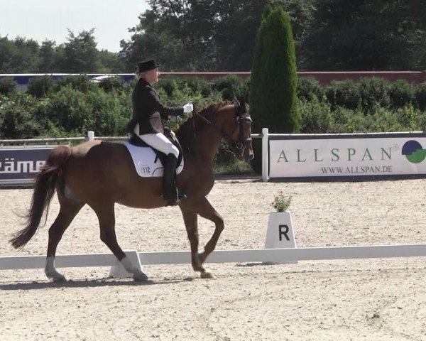 Reitturnier Illertissen 2017