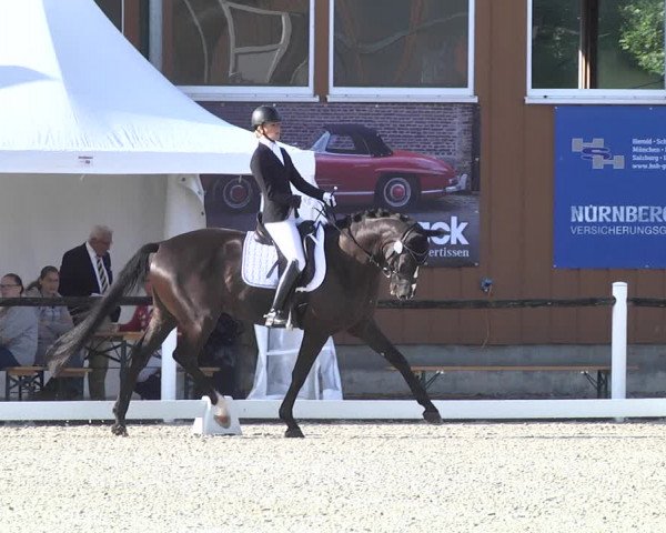 Reitturnier Illertissen 2017