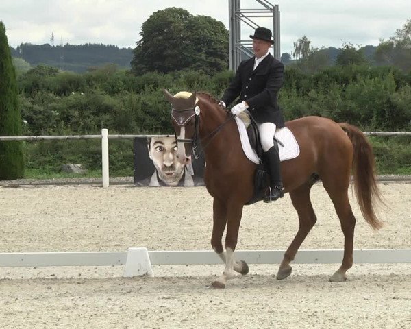 Reitturnier Illertissen 2017