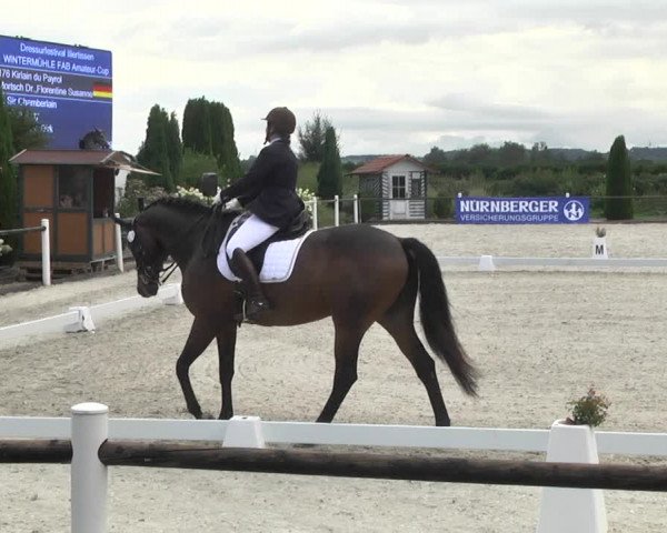 Reitturnier Illertissen 2017