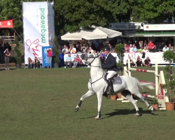 Reitturnier Aschersleben 2017