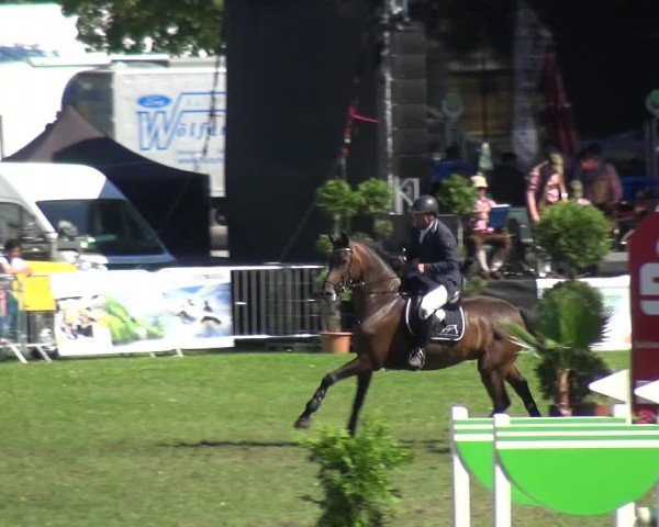 Reitturnier Aschersleben 2017