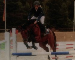 dressage horse Calido RH (German Sport Horse, 2010, from Chap 47)