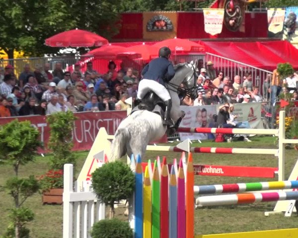 Reitturnier Aschersleben 2017