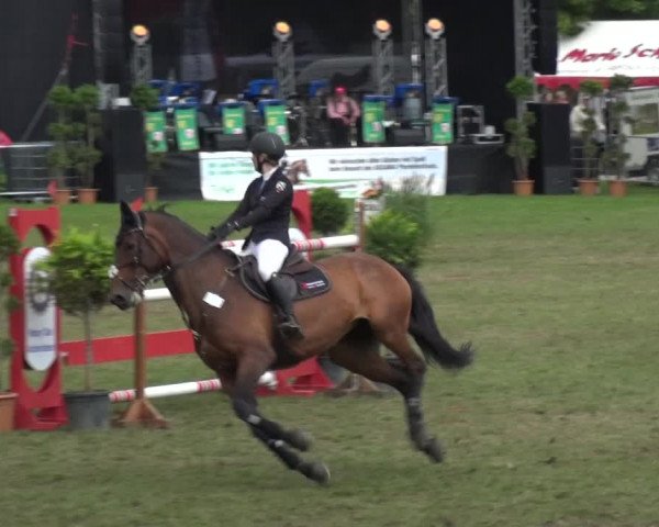 Reitturnier Aschersleben 2017