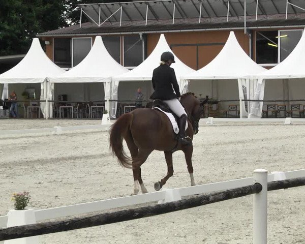 Reitturnier Illertissen 2017