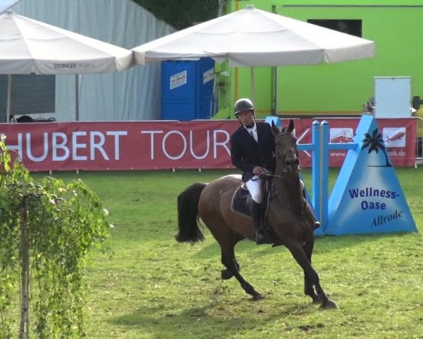 Reitturnier Aschersleben 2017