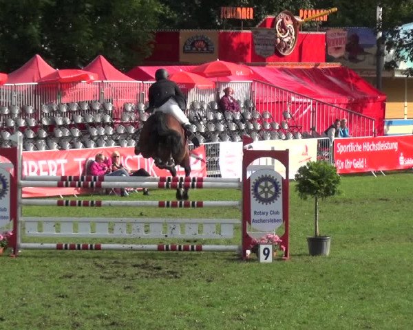 Reitturnier Aschersleben 2017