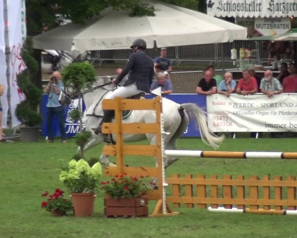 Reitturnier Aschersleben 2017