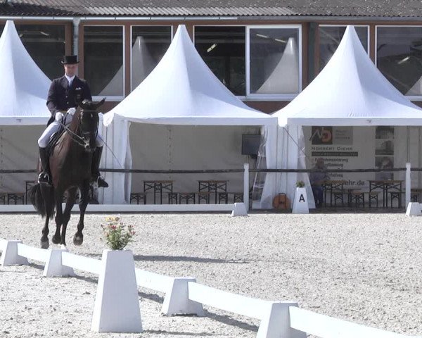 Reitturnier Illertissen 2017