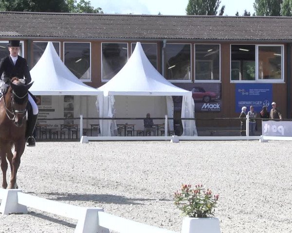 Reitturnier Illertissen 2017