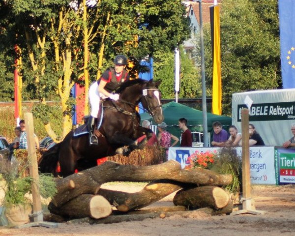 broodmare Dooline (Swiss Warmblood, 2005, from Donnerknall-Ben)