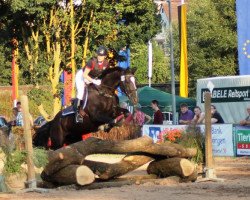 Zuchtstute Dooline (Schweizer Warmblut, 2005, von Donnerknall-Ben)