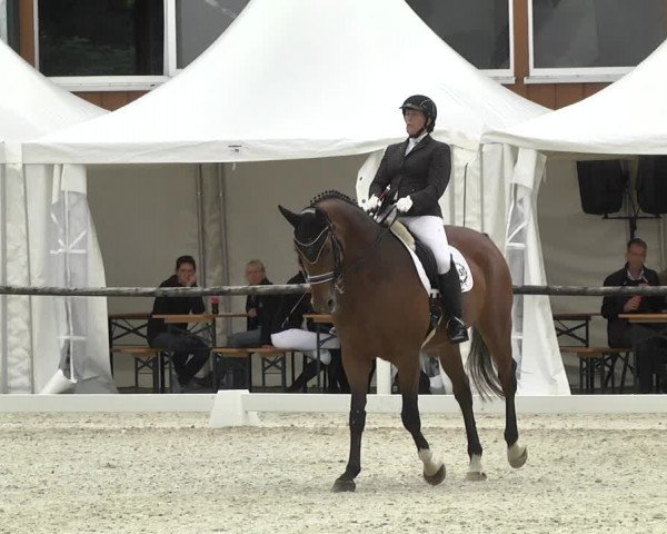 Reitturnier Illertissen 2017