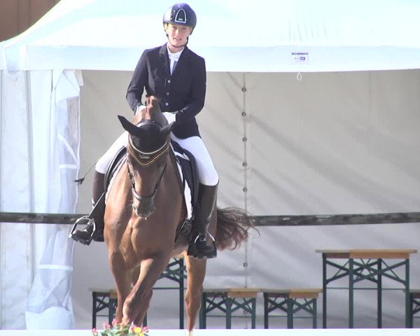 Reitturnier Illertissen 2017