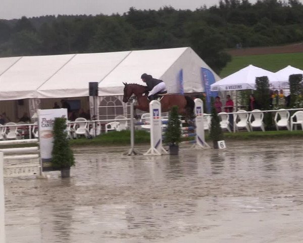 Reitturnier Menden 2017