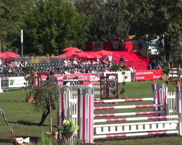 Reitturnier Aschersleben 2017