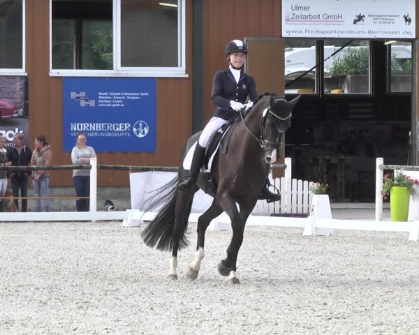 Reitturnier Illertissen 2017