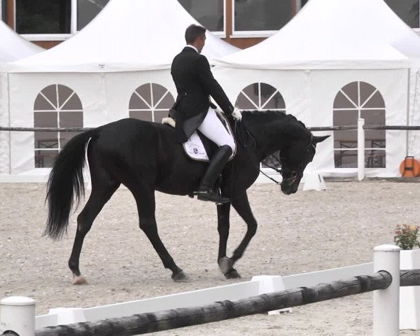Reitturnier Illertissen 2017