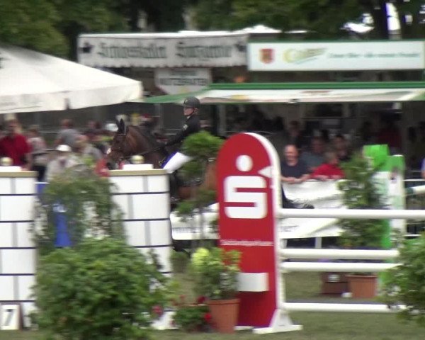 Reitturnier Aschersleben 2017