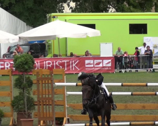Reitturnier Aschersleben 2017