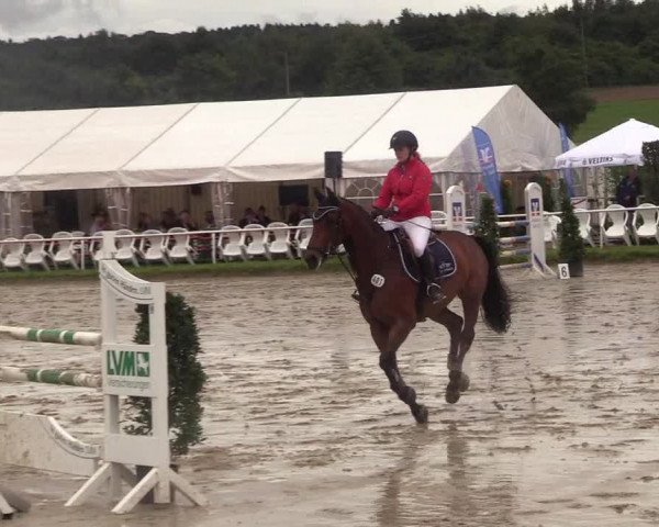 Reitturnier Menden 2017