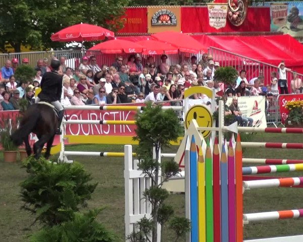 Reitturnier Aschersleben 2017