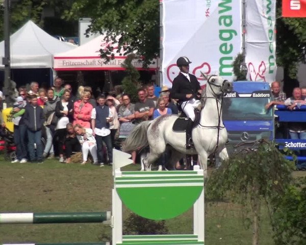 Reitturnier Aschersleben 2017