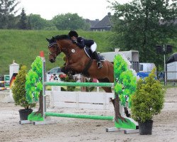 Springpferd Lillifee 74 (Westfale, 2007, von Larson)