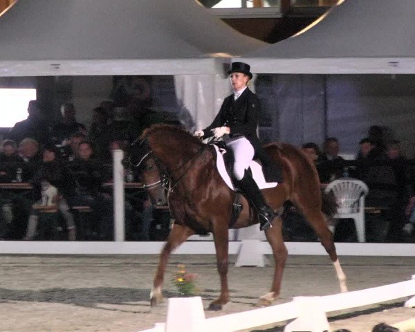 Reitturnier Illertissen 2017