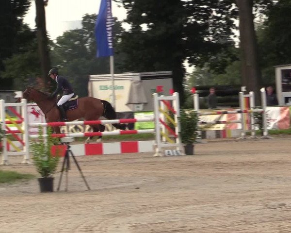 Reitturnier Datteln 2017