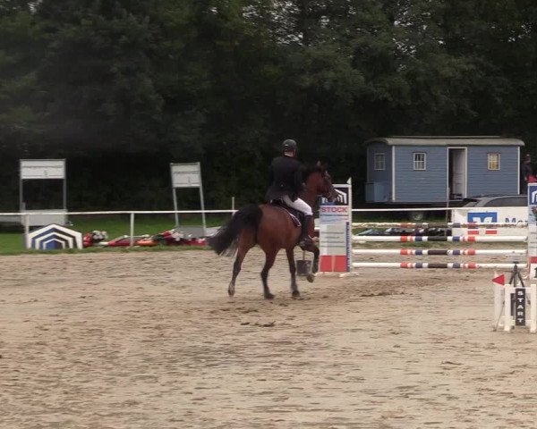 Reitturnier Menden 2017