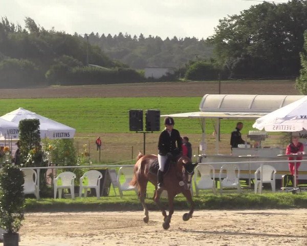 Reitturnier Menden 2017