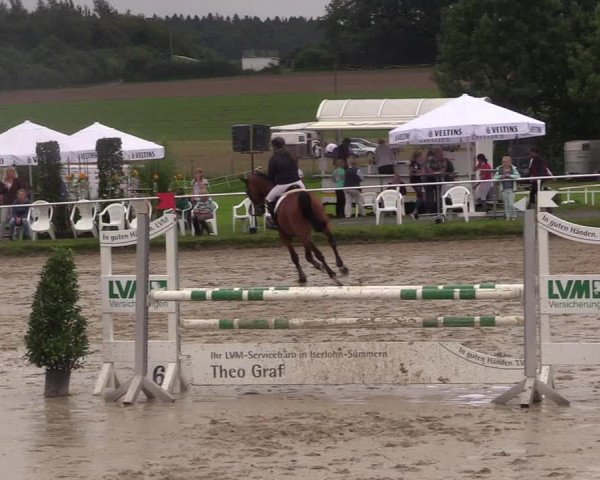 Reitturnier Menden 2017