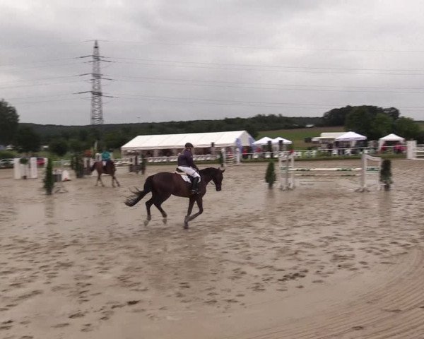 Reitturnier Menden 2017