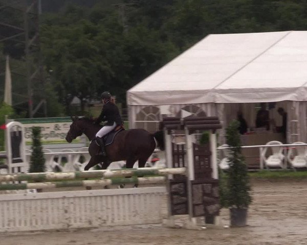Reitturnier Menden 2017