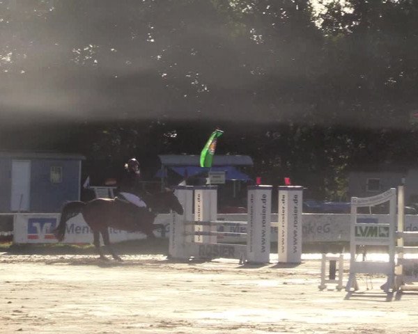 Reitturnier Menden 2017