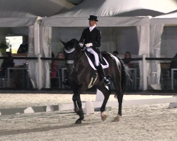 Reitturnier Illertissen 2017