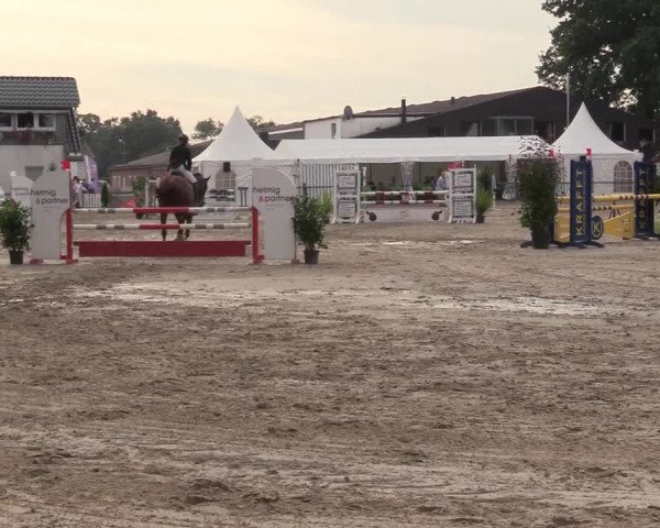 Reitturnier Datteln 2017