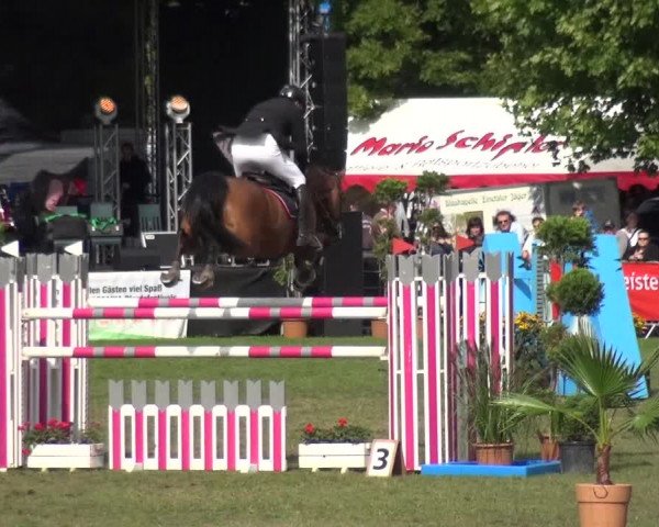 Reitturnier Aschersleben 2017