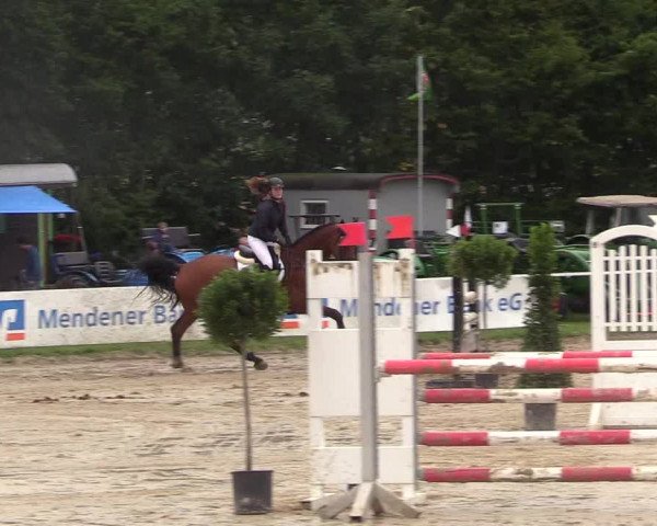 Reitturnier Menden 2017