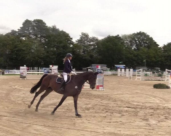 Reitturnier Menden 2017