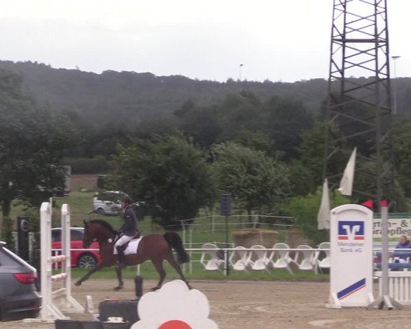 Reitturnier Menden 2017