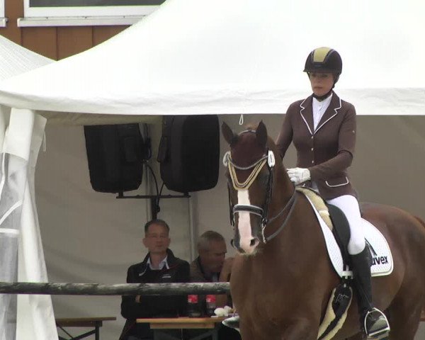 Reitturnier Illertissen 2017