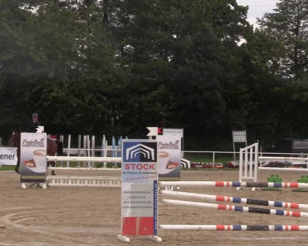 Reitturnier Menden 2017
