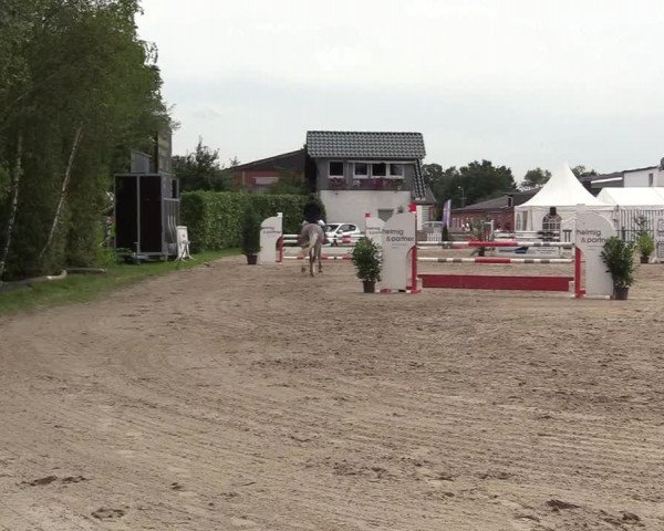Reitturnier Datteln 2017