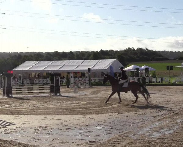 Reitturnier Menden 2017
