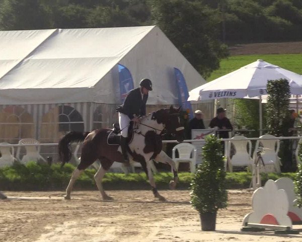 Reitturnier Menden 2017